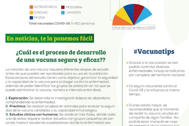 Te contamos cuál es el proceso de desarrollo de una vacuna segura y eficaz
